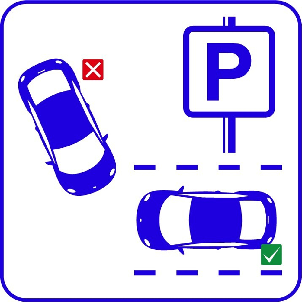 Parking Indoor Multi Модуль и ПО TRASSIR