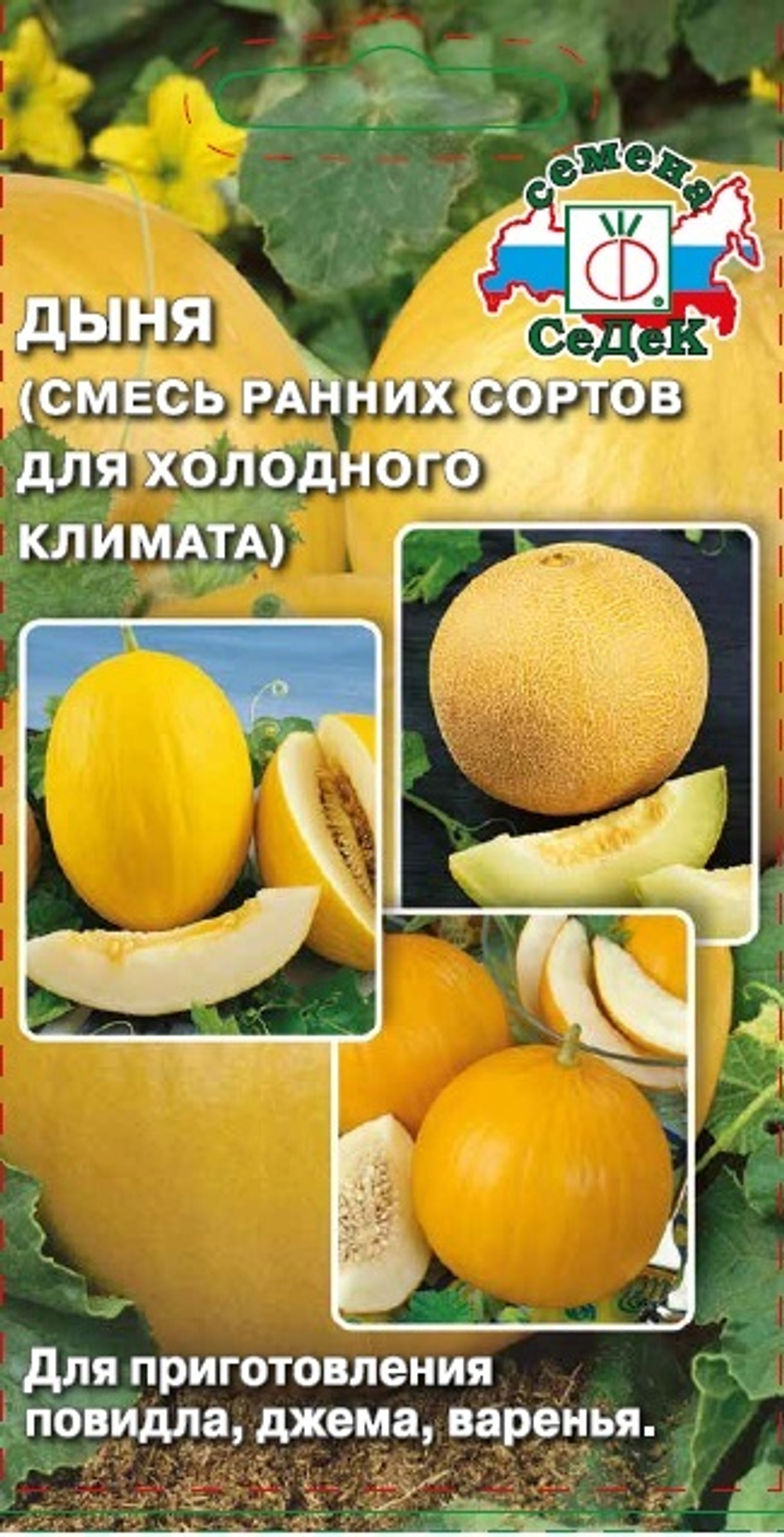 дыня Смесь Ранних Сортов для холодного климата
