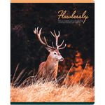 Тетрадь 48л, А5, клетка, Greenwich Line Gift of nature, матовая ламинация