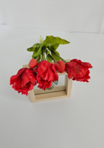 Тюльпаны бахромчатые / Арт 2542