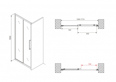 Душевая дверь ABBER Schwarzer Diamant AG30170BH