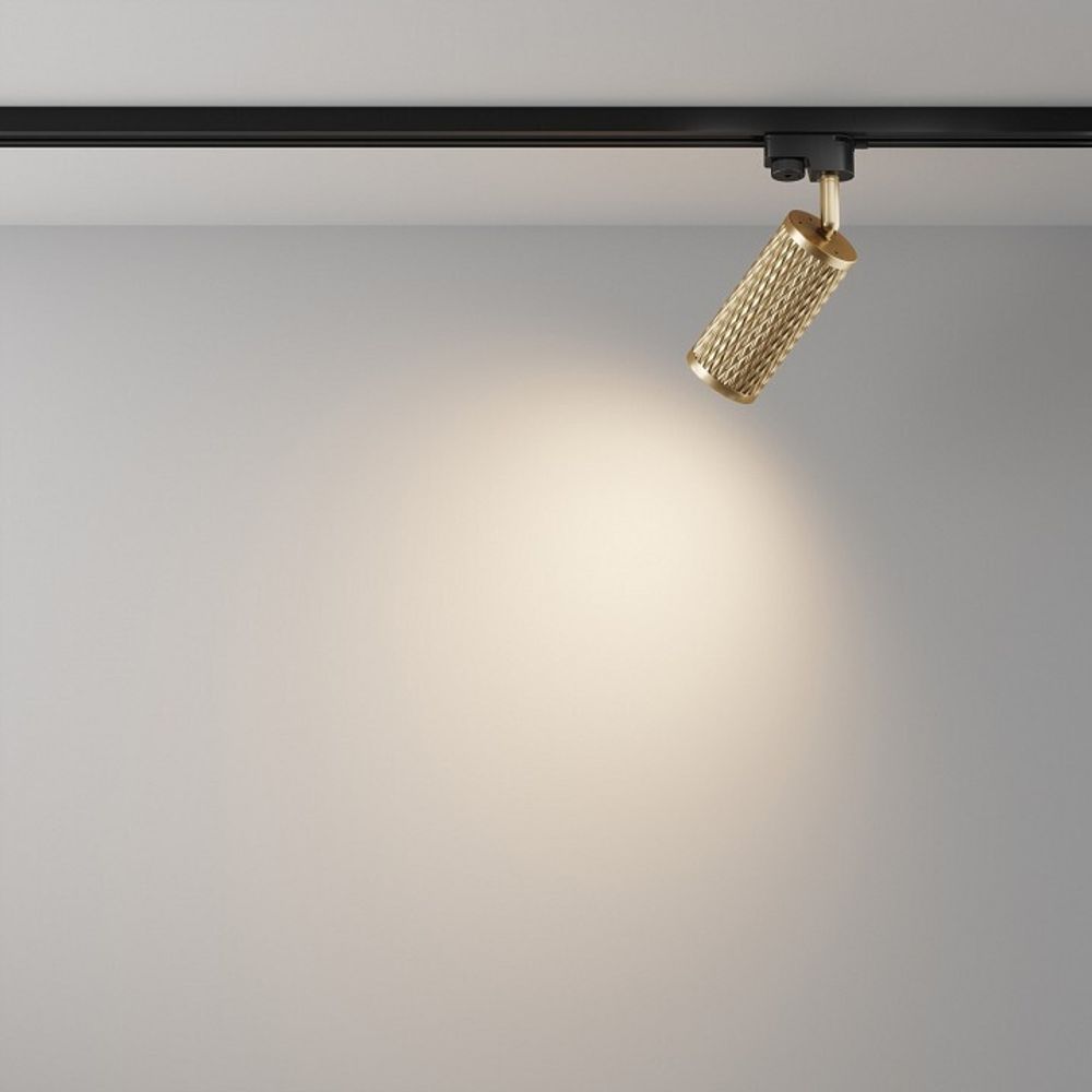 Светильник на штанге Maytoni Focus Design TR011-1-GU10-G