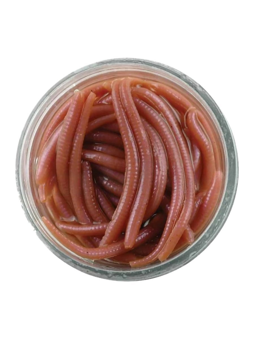 Приманка съедобная червь Berkley Gulp Alive Angleworm, 3 см, 60 шт, Brown