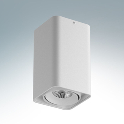Накладной светильник Lightstar Monocco 052136
