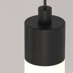 Подвесной светодиодный светильник Maytoni Ray P022PL-L10B