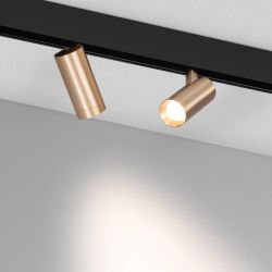 Светильник MAG-ORIENT-SPOT-R45-12W Day4000 (GD, 24 deg, 48V) (Arlight, IP20 Металл, 5 лет) 040889