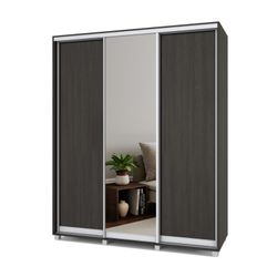 Шкаф-купе трехстворчатый "Роланд" Р462, ЛДСП, MODERN