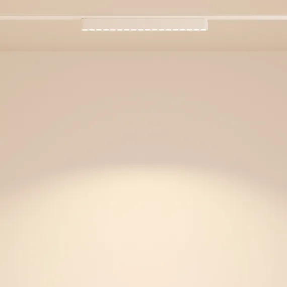 Трековый светильник Точки / Points Radity 3000K 16Вт 36° Technical tr082-1-18w3k-m-w