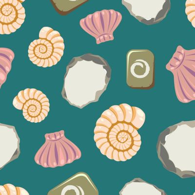 ракушки на бирюзовом фоне