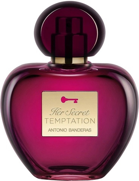 Antonio Banderas Her Secret Temptation