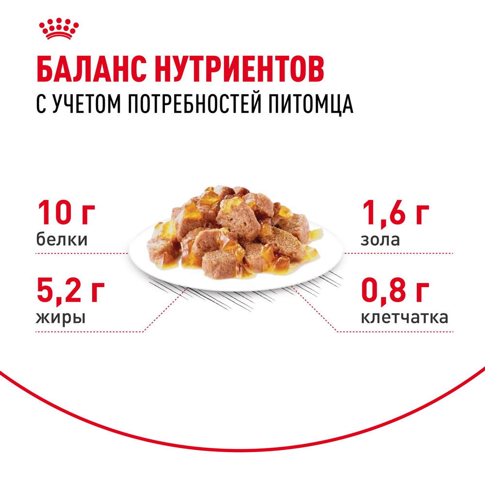Royal Canin Ageing 12+ Эйджинг Корм влажный для взрослых кошек в возрасте старше 12 лет желе 85г