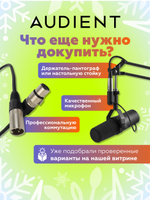 Внешняя звуковая карта Audient iD4 MKII