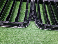 Решетка радиатора BMW X7 G07 (2019-2022)