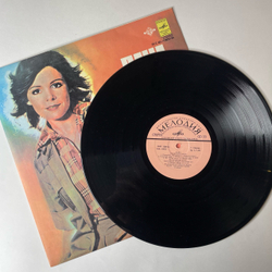 Винтажная виниловая пластинка LP Дана Dana, Приятный День (СССР 1978)