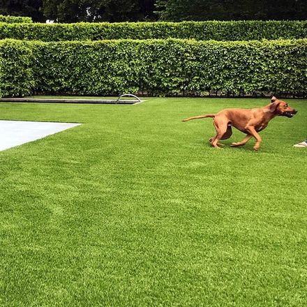 Ландшафтная