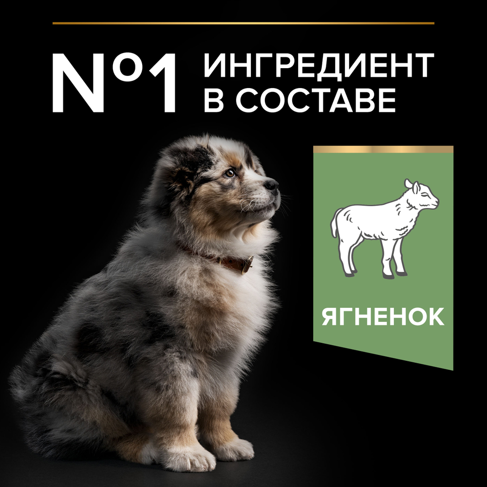 Сухой корм PRO PLAN SENSITIVE DIGESTION для щенков средних пород с чувствительным пищеварением ягненок 12 кг