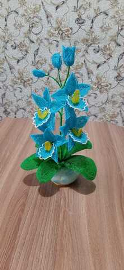 Орхидея Мальвина высота 30см ширина 17см