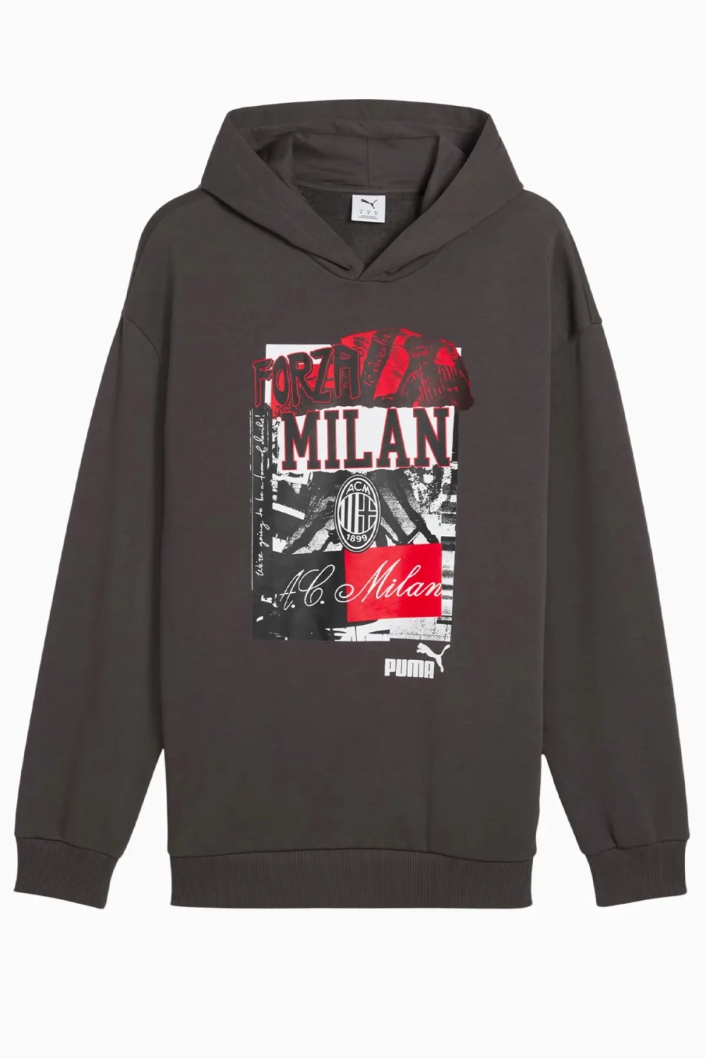 Кофта Puma AC Milan 24/25 ftblNRGY+ - серый