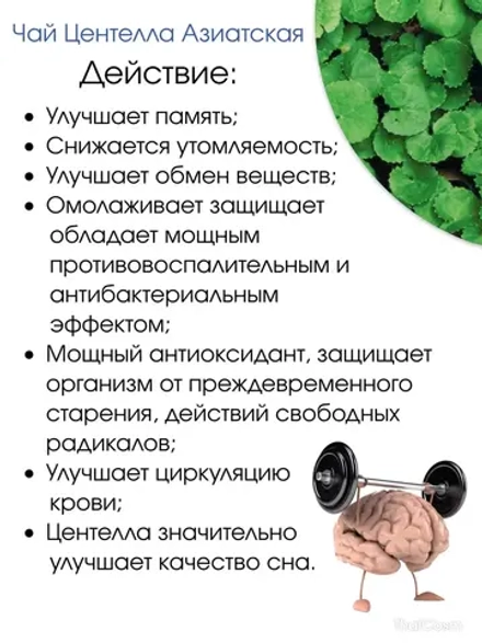 Чай на основе Центеллы Азиатской стимулирующий 20саше