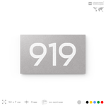 Номер на дверь 919, табличка на дверь для офиса, квартиры, кабинета, аудитории, склада, серая 120х70 мм, Айдентика Технолоджи