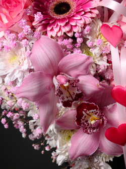 В самое сердце