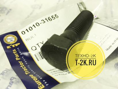 01010-31655 болт