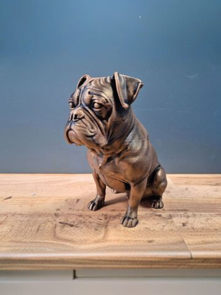 Boxer