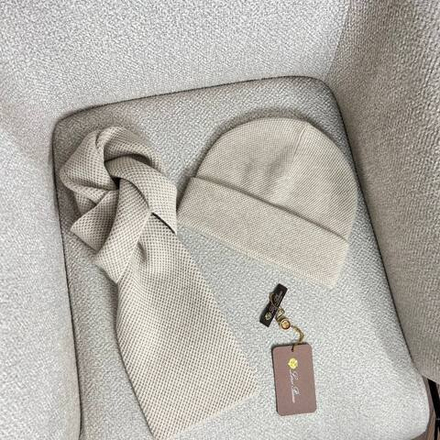 Комплект Loro Piana (шапка + шарф)