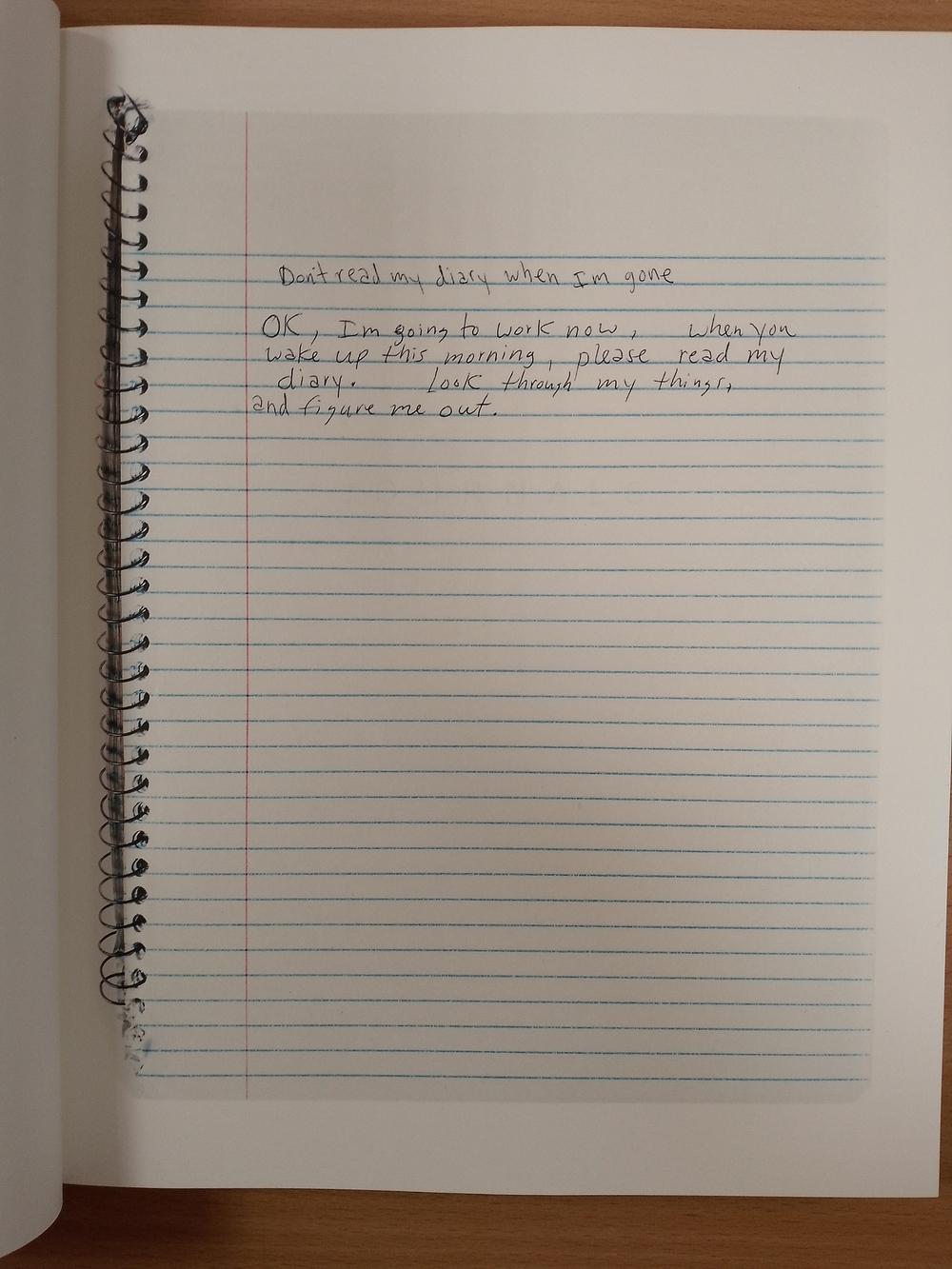 Kurt Cobain : The Journals