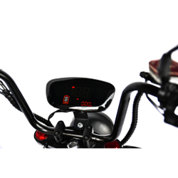 Электроскутер SkyBoard FAR EAST-4000 SPORT
