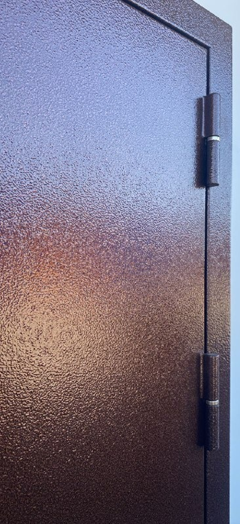 Дверь входная Леда