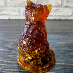 Кот улыбается