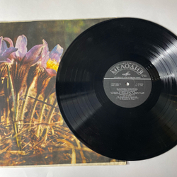 Винтажная виниловая пластинка Валентина Толкунова Стою На Полустаночке (СССР 1974)