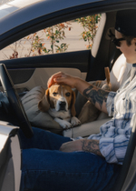 Автокресло-Пони бежевое