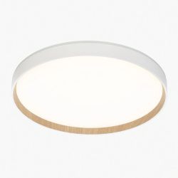 Citilux ETALON CL750400R LED RGB Светильник с пультом Белый+Бук