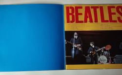Винтажная виниловая пластинка LP The Beatles Please Please Me (Japan 1973) (No Obi) Twist And Shout