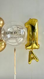 Воздушные шары на 1 сентября «Вперёд к знаниям» и связка с цифрой 1А №1/88