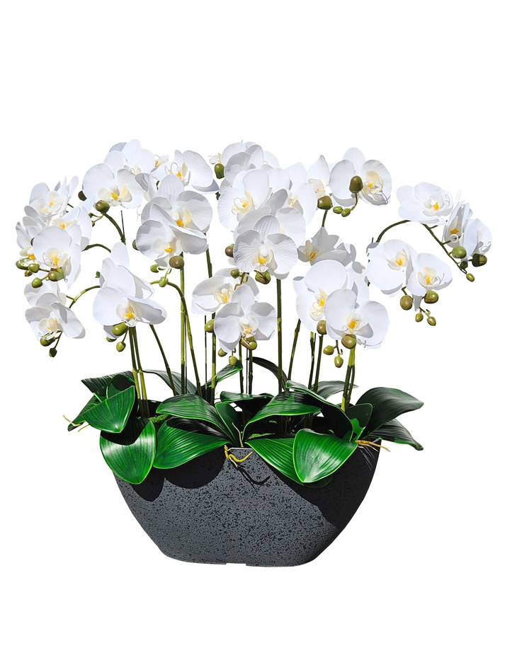 Искусственные Орхидеи белые 7 веток 50см в кашпо Лофт