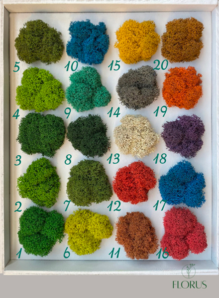 Ягель стабилизированный "Премиум", 1кг