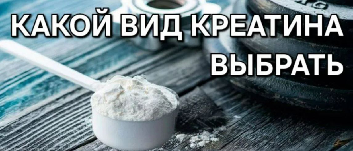 Моногидрат или гидрохлорид креатина: что выбрать и в чём разница