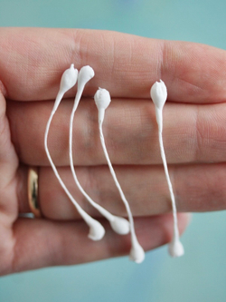 Тычинки для Сирени