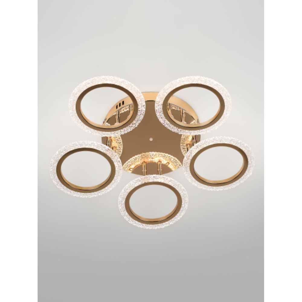 Светильник потолочный светодиодный Rivoli Evlalia 6178-733 LED 70Вт 3000-6000К с пультом | Rivoli