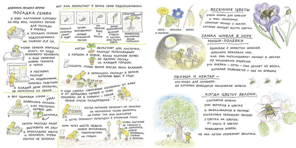 Весна мишки Бруно