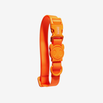 Ошейник NEOPRO TANGERINE Zee.Dog