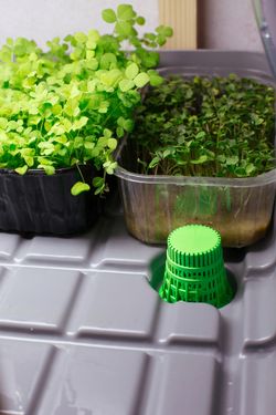 Штуцер литьевой зелёный ( d-22 мм)