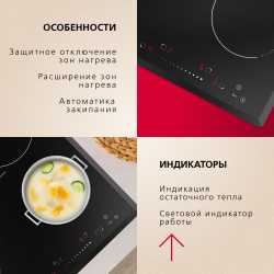 Электрическая панель Hansa BHC66906