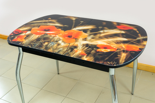 Стол раздвижной Ривьера СВ фотопечать исп.1 Цветы №48 ноги хром №5