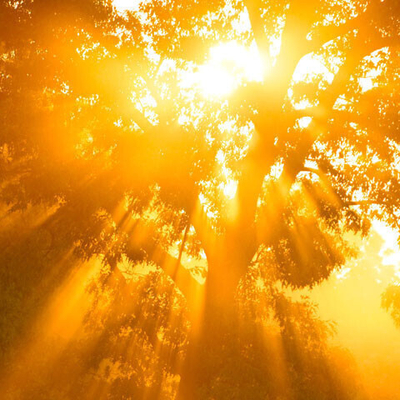 Медитативный курс 3: Постижение Высшего Мастерства