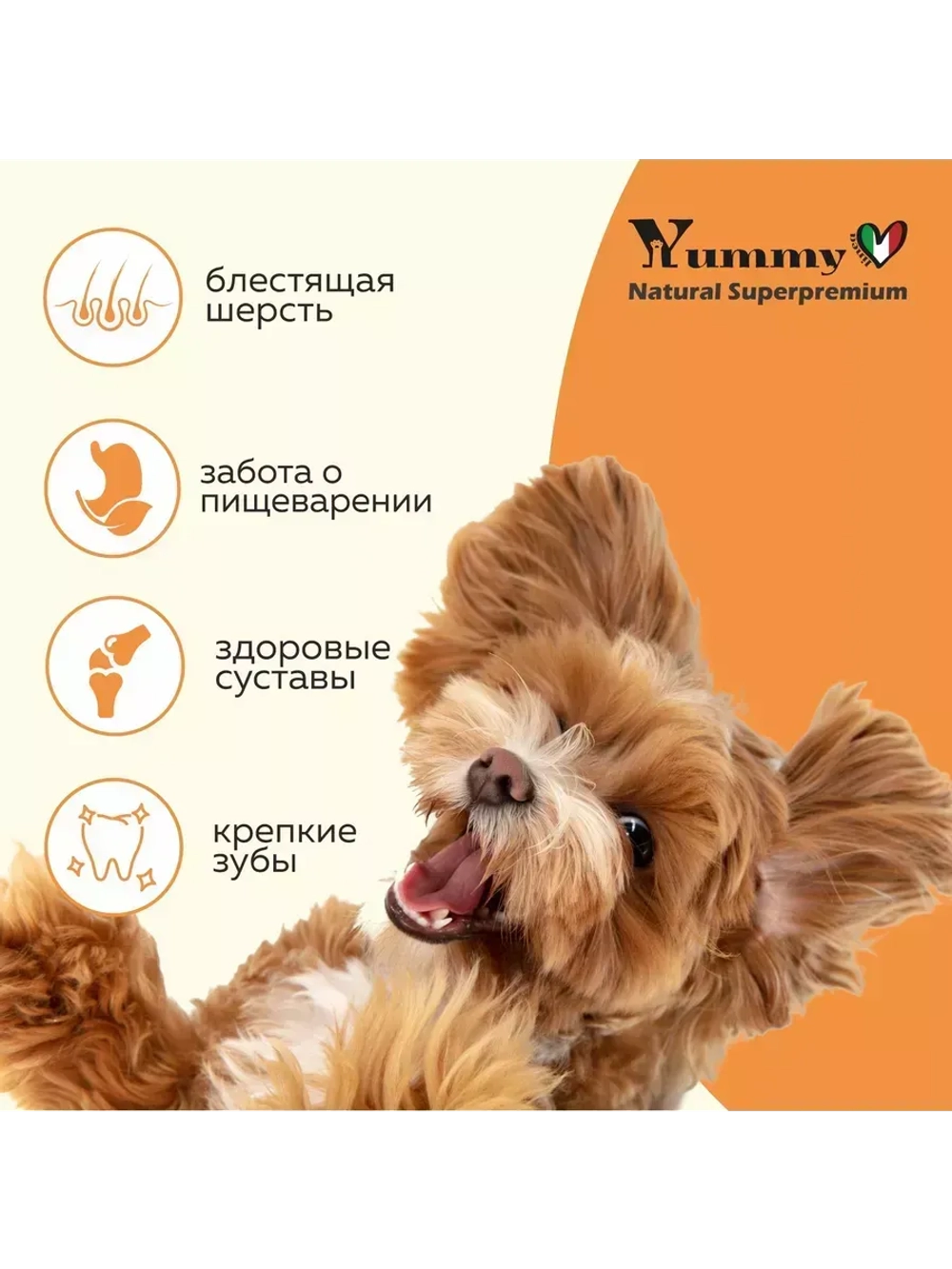 Влажный корм для собак, индейка, кабачки и морковь 6х340гр