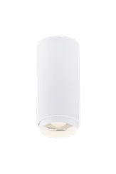 046MZ SWT (1/30) Светильник